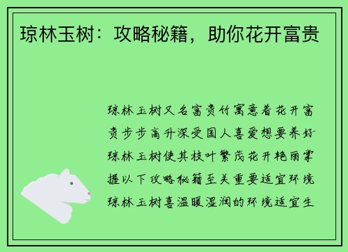 琼林玉树：攻略秘籍，助你花开富贵